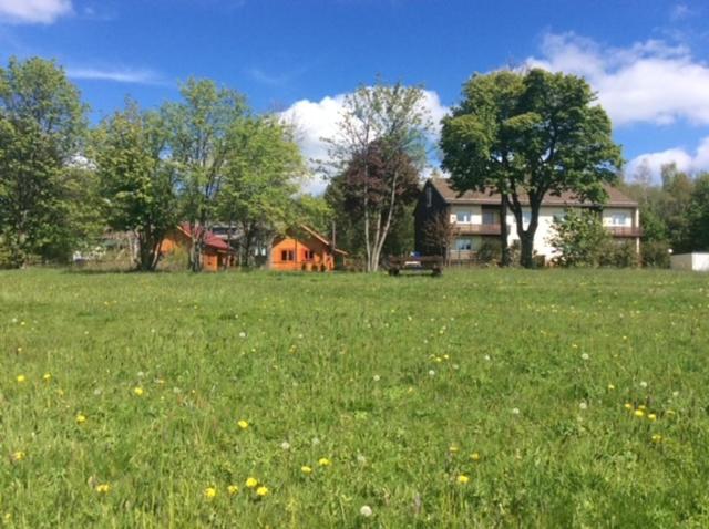 Ferienwohnung Harzblick 4 Braunlage Exterior foto